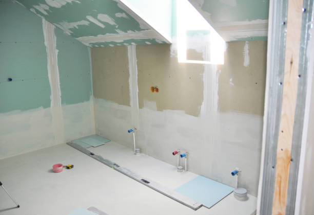 Best Basement Mold Removal  in Pratt, KS