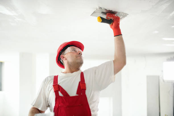 Best Comprehensive Air Testing for Mold Contaminants  in Pratt, KS