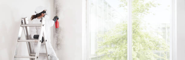 Best HVAC Mold Inspection and Cleaning  in Pratt, KS